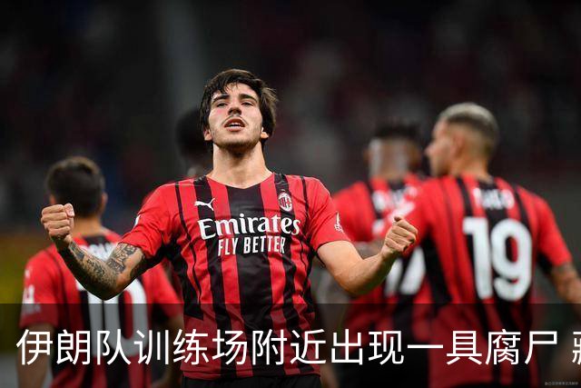 伊朗队训练场附近出现一具腐尸 藏在车辆后备箱+黑袋包裹