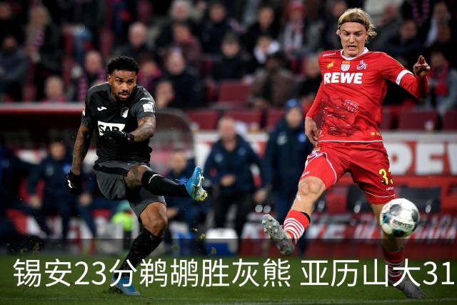 锡安23分鹈鹕胜灰熊 亚历山大31+10雷霆屠公牛